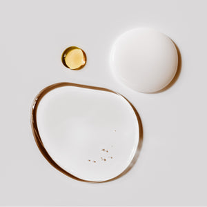 Two ceramic plates with gold accents on a light gray background