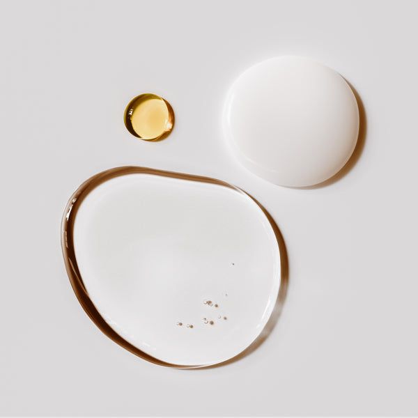 Two ceramic plates with gold accents on a light gray background