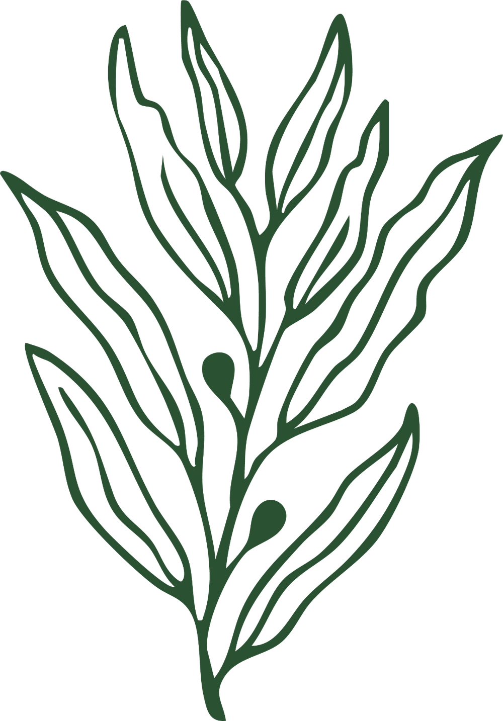 Green leafy design on a white background