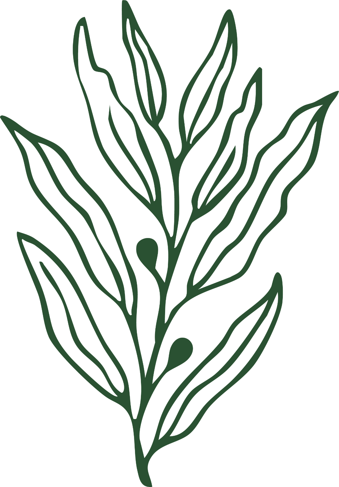 Green leafy design on a white background