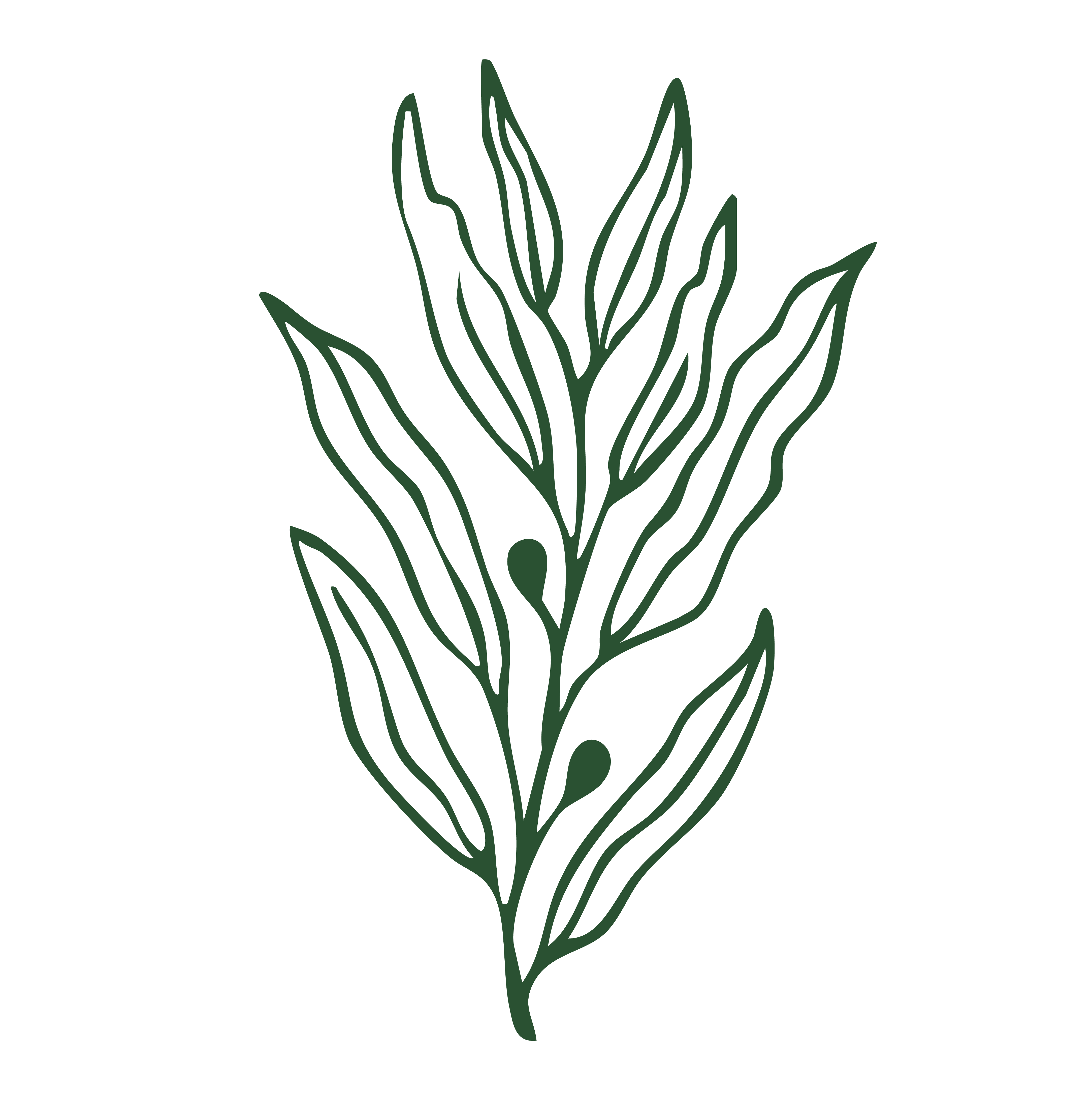 Green leaf illustration on a white background