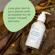 Avocado Kelp Facial Cleanser
