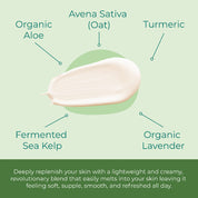Lamina Kelp Day Cream