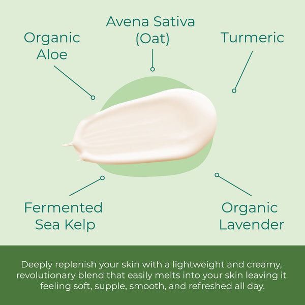 Lamina Kelp Day Cream