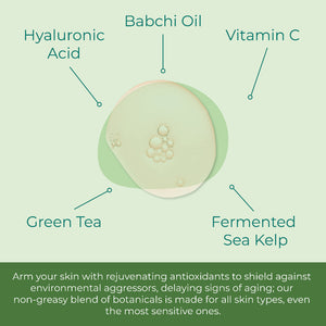 Hyaluronic Acid Vitamin C Facial Serum
