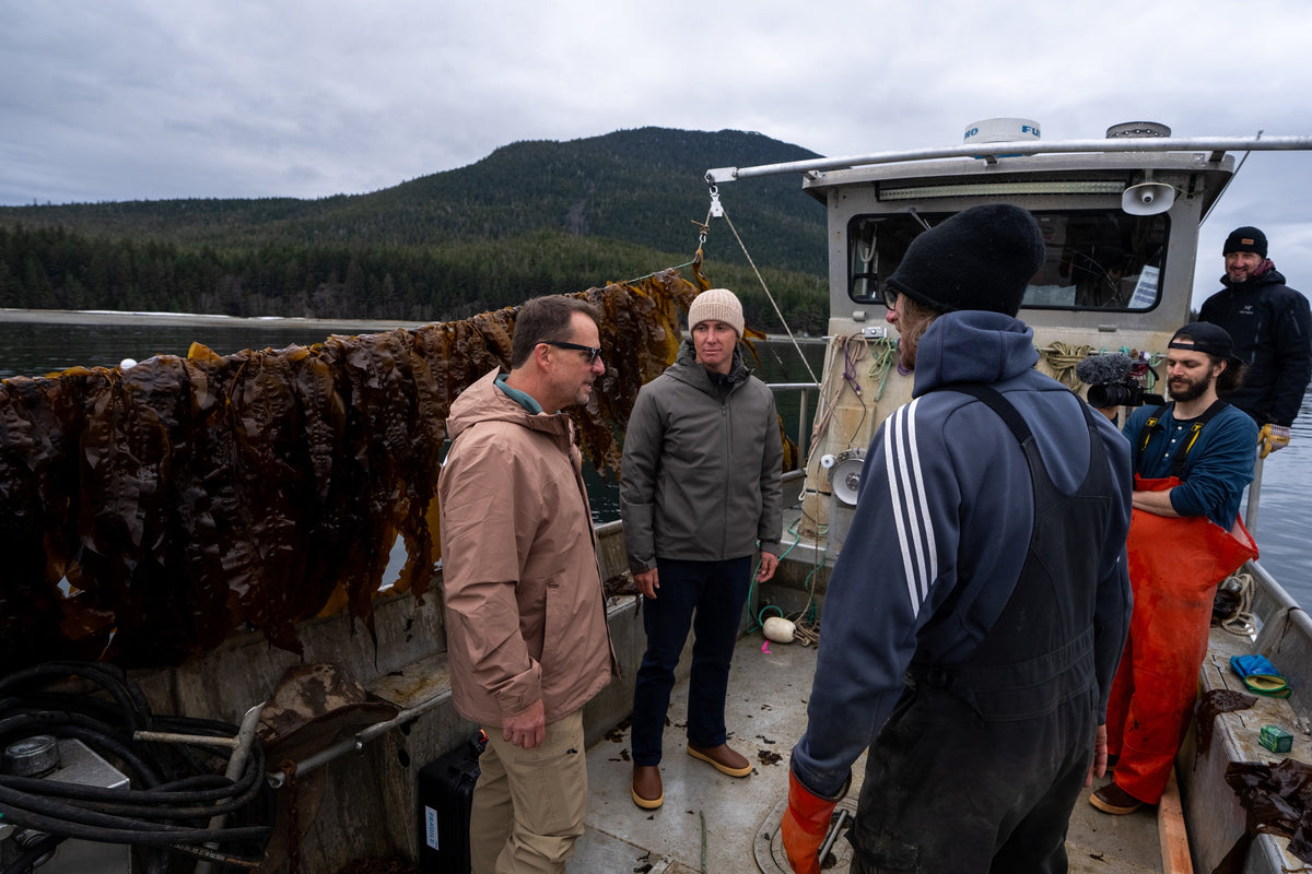 Several people standing on a fishing boat in open water with mountains and forest in the background. A large brown seaweed rack hangs along the side of the boat.