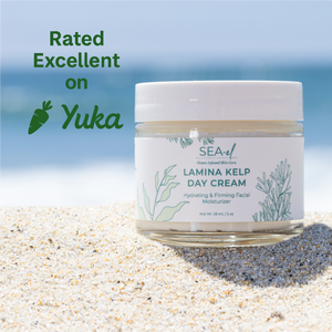 Lamina Kelp Day Cream