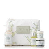 Night Time Bundle w/ Kelp Forest Bag